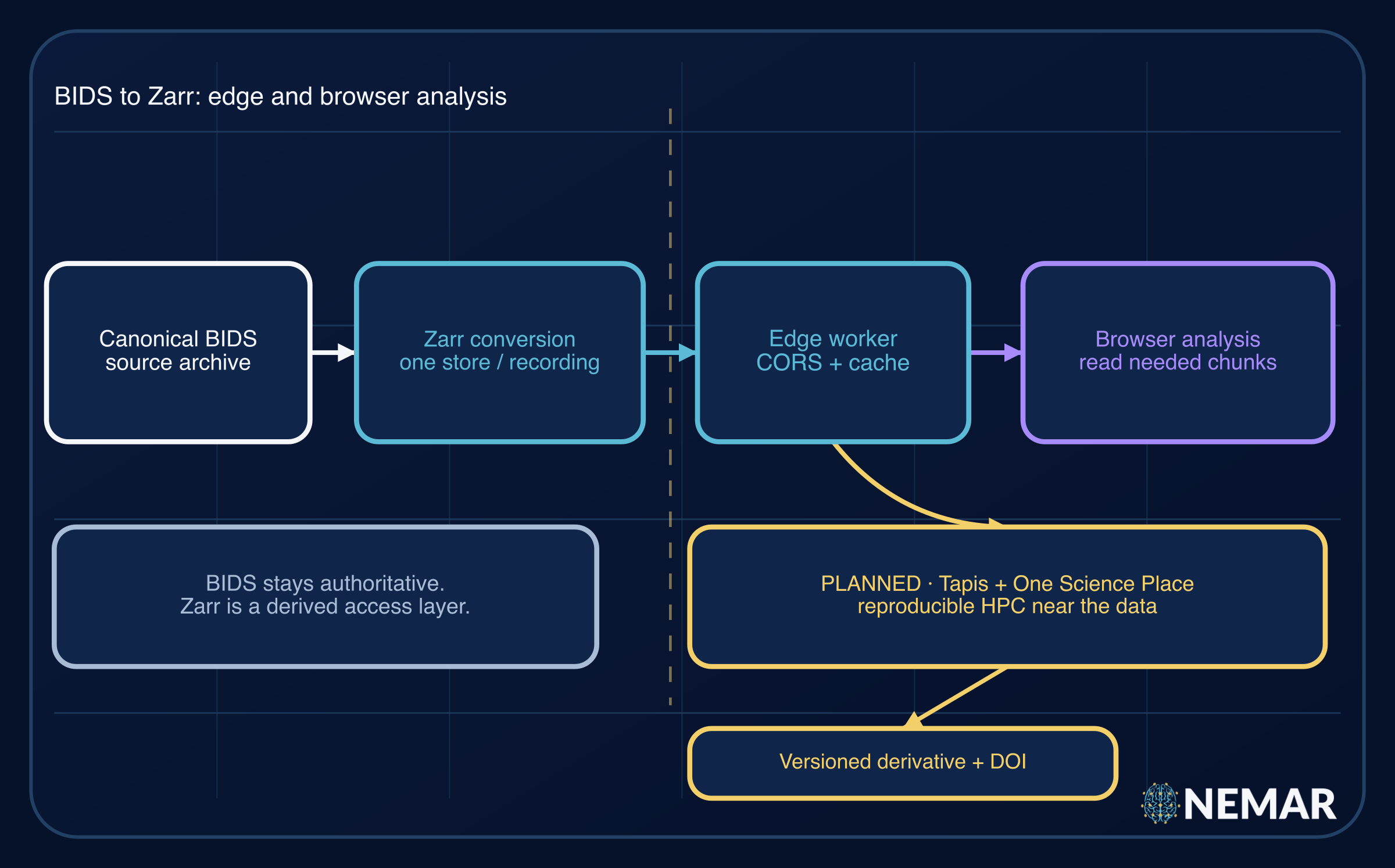 NEMAR edge and compute diagram showing canonical BIDS data, Zarr conversion, edge delivery, browser analysis, and a planned NEMAR integration with Tapis through OneSciencePlace.